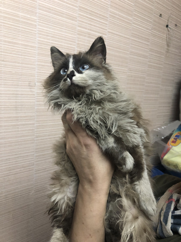 286B3C8F-A3CE-4594-B19E-F9789FD8C7AB