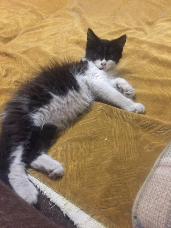 IMG-145ab78b258bc1103a5a4526b145bbcb-V