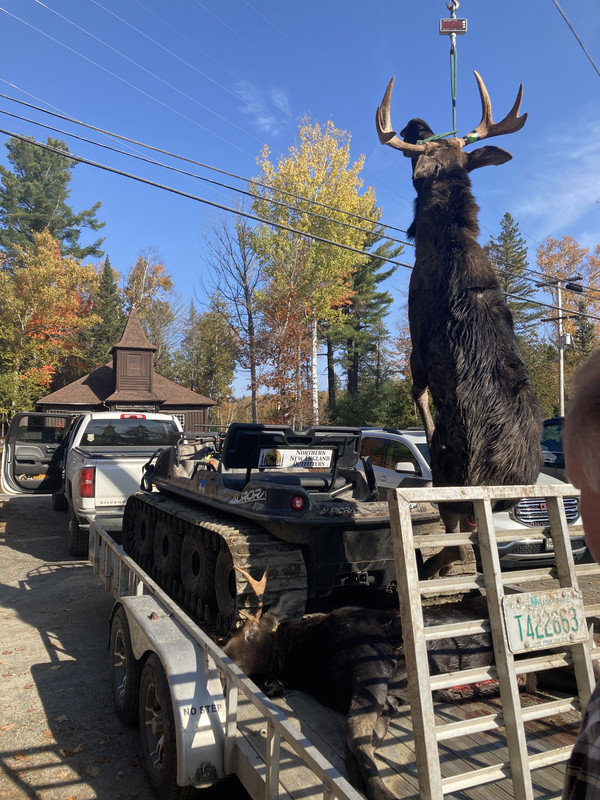 F3AB4B5A-08F1-48AF-AC8B-DD25C111EAA8