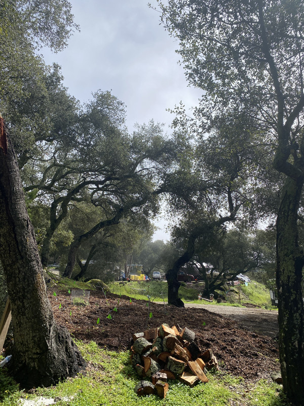 05474D6F-FC16-4B71-9940-4C7CAB5ADB7D