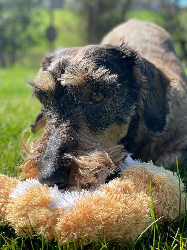 [Image: FEEBC56-E-16-FA-4315-BD54-498-CCB71-EE4-B.jpg]