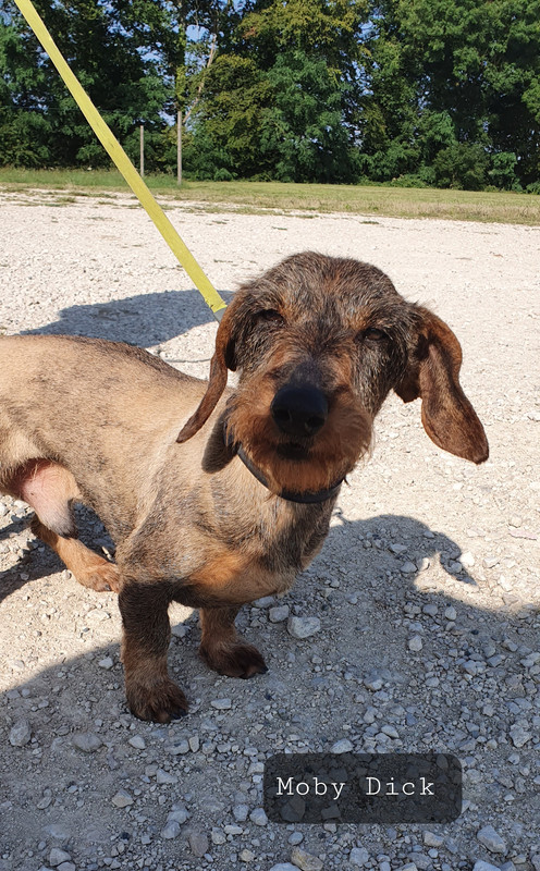 [Image: 20230707-073758.jpg]