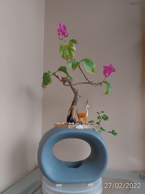 [Image: IMG-20220227-090609.jpg]