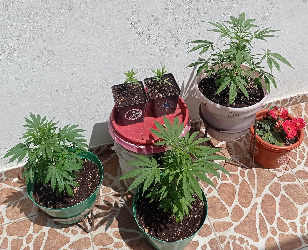 331735853_590551145931964_2070152648285607950_n