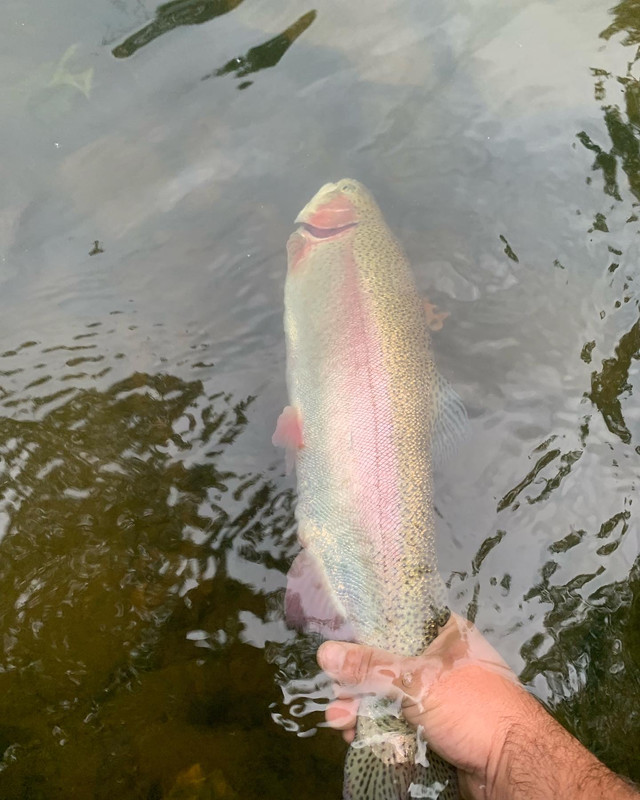 DBF9E851-E363-4465-9B1C-E3DA6CB69103