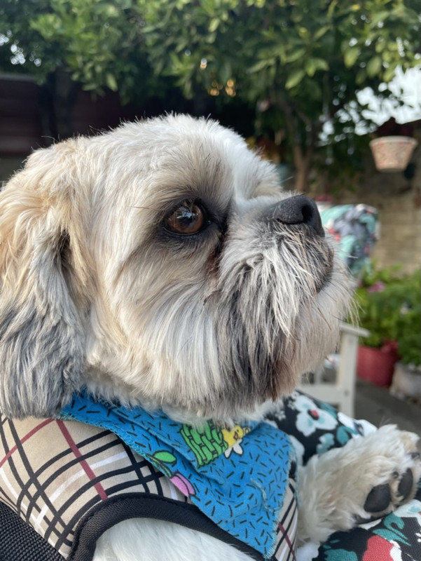 716B48F6-9B35-48B7-95ED-41493EF4C915_1_105_c