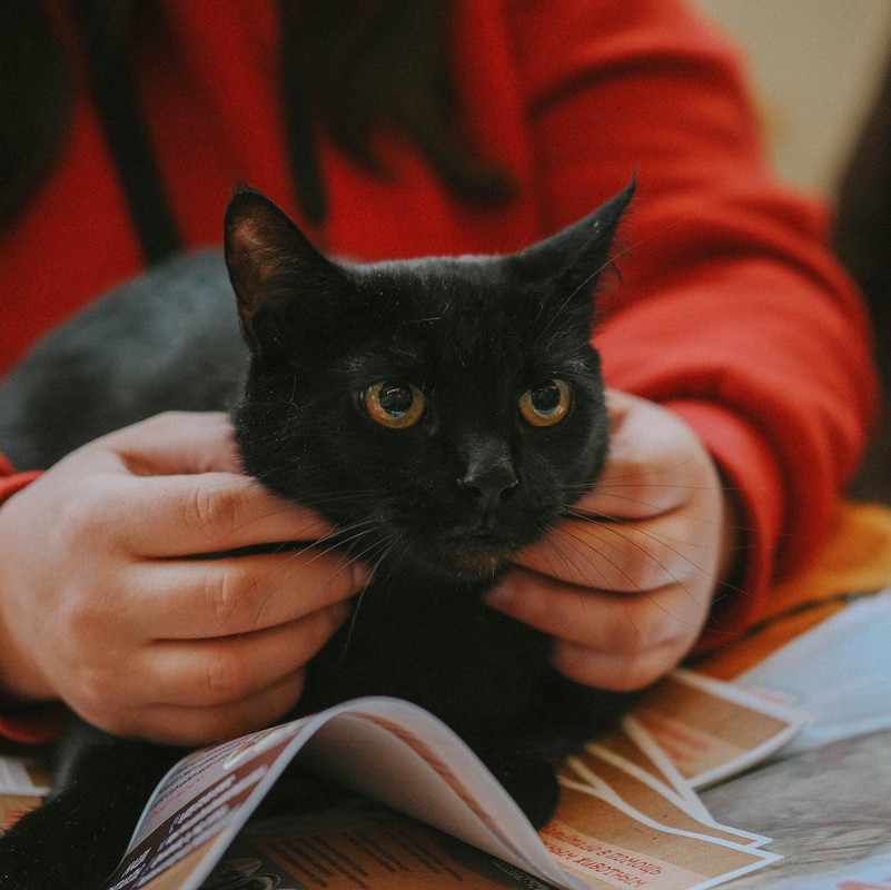 5200985A-5753-4A3E-B78D-87EBF3EB4422