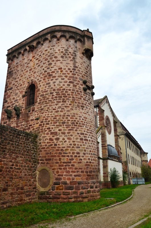 OBERNAI-15-11-2022 - Francia y sus pueblos-2016/2022 (53)