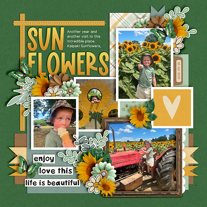 25-01-16-Sunflowers-700.jpg