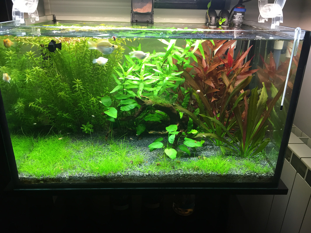 9612792E-E2AC-40BC-9AE8-17E5BF1FBEB8