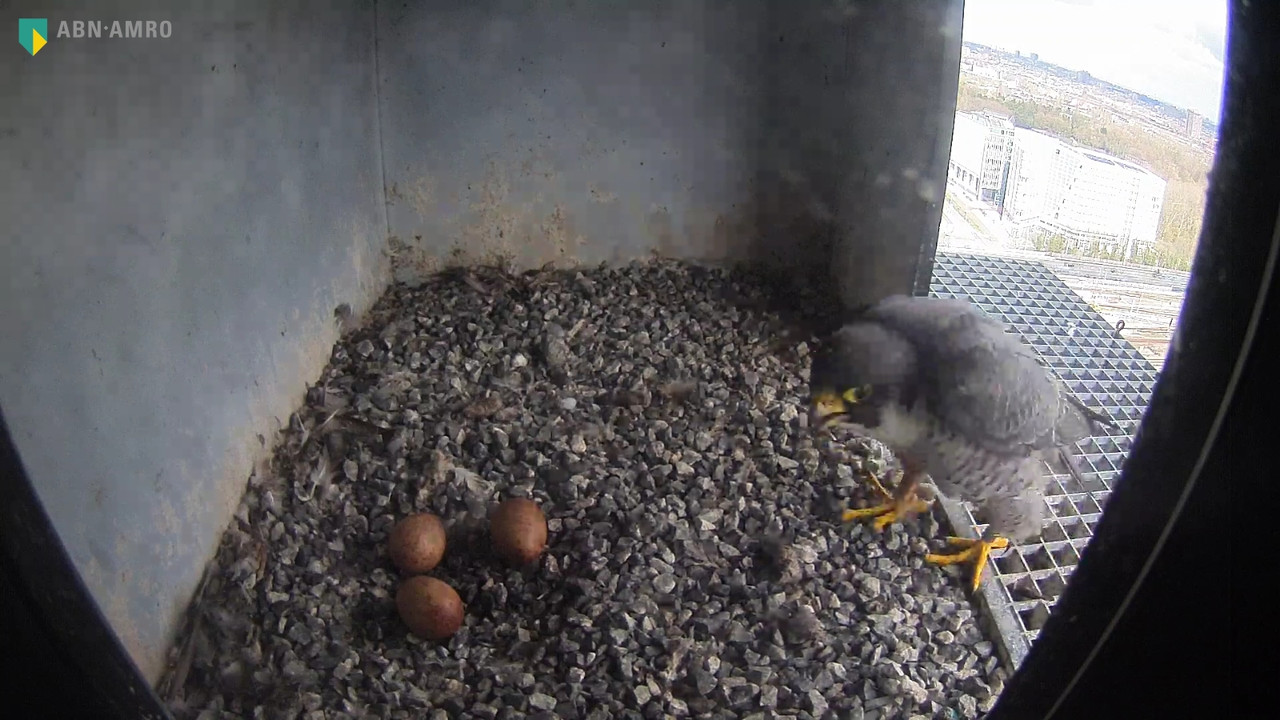 capture_27032019_140613