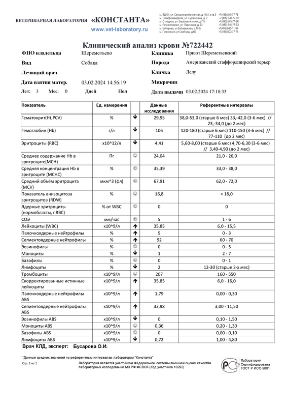 Клинический анализ крови (722442)