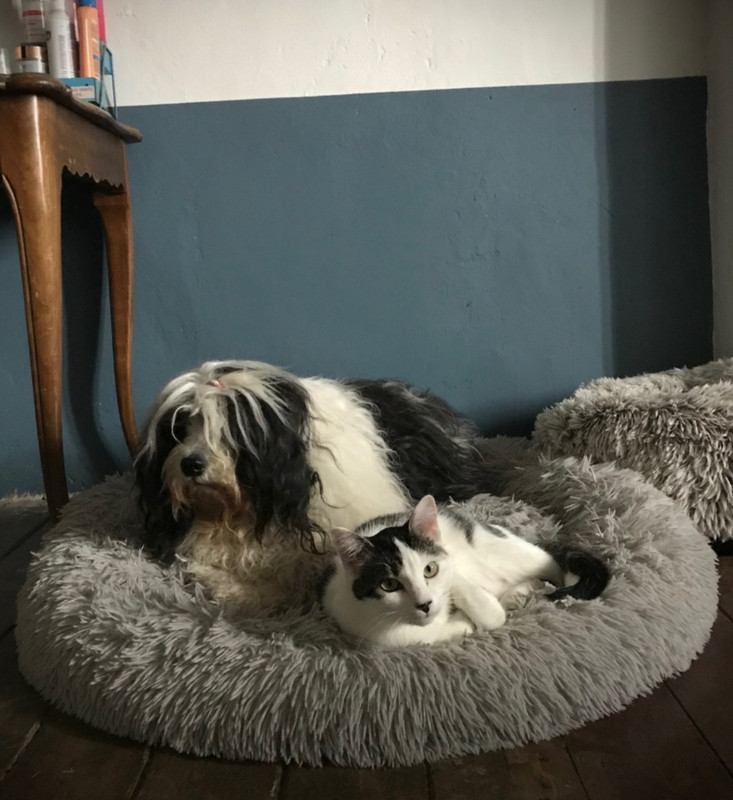 Screenshot_20230306-124659_Email