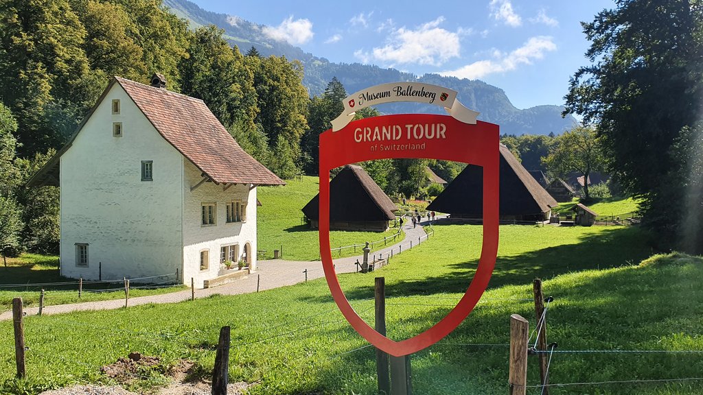 MUSEO AL AIRE LIBRE DE BALLENBERG- PLAYA DE ROLLE- VUELTA A CASA - 50 sombras del verde en Suiza y Alemania (2)