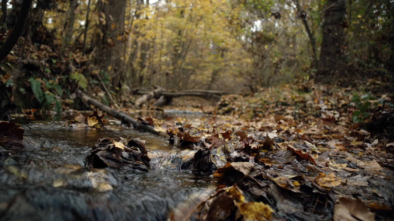 TURN Washington's Spies (2014) - S03E01 - Valediction (1080p Blu