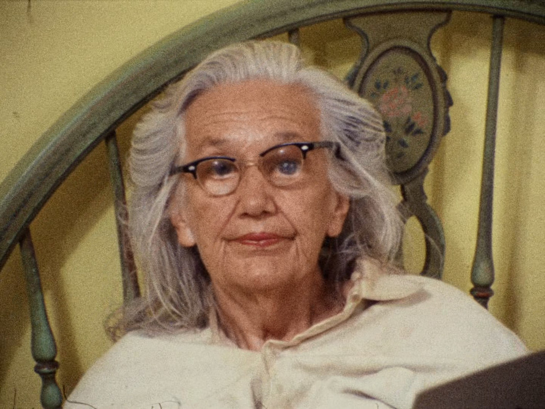 Grey Gardens (1975) (1080p BluRay x265 Silence)-3