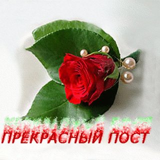 https://i.postimg.cc/vBkj8bBv/i-252.jpg