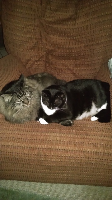 IMG_20170708_235806032