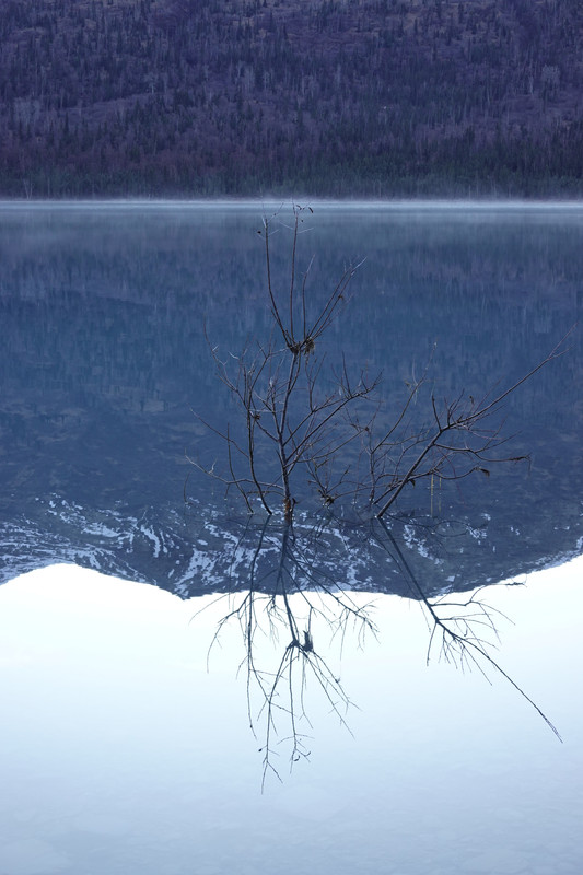 C7A6D2F8-4CC1-43CF-BDB7-3F353FC7FB16