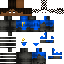 David Wold | Polyvision Minecraft Skin