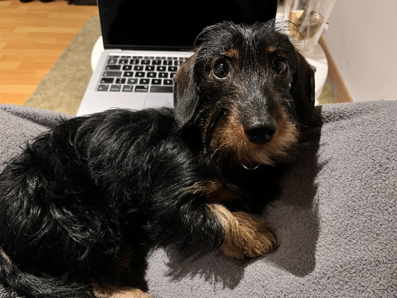 [Image: IMG-3990.jpg]