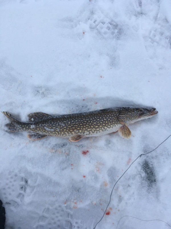 545772CC-425D-4EE8-80DE-3EC49CE52131