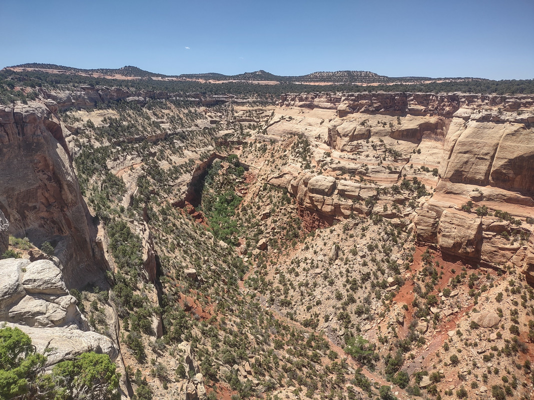 IMG_20250620_124813143_HDR