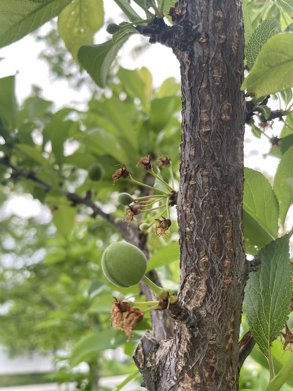 D4892087-22CA-47DB-AA5D-F3485ABD6356