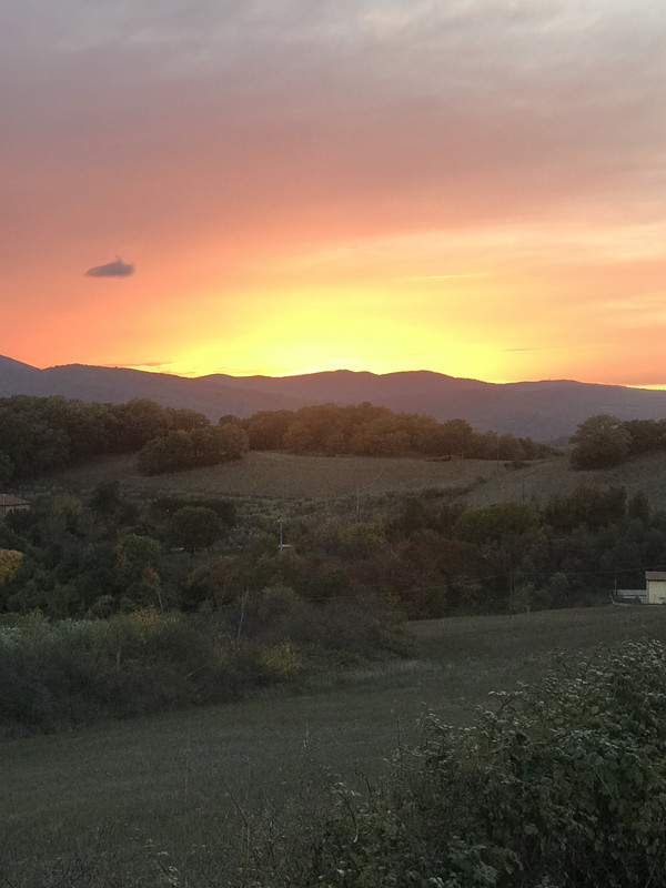 293DB618-B0C5-47AD-9F2C-731733311E2F