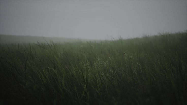 2096393322cb2c34097a14815260a730