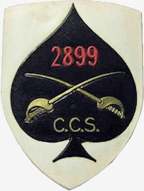 BCav2899-CCS