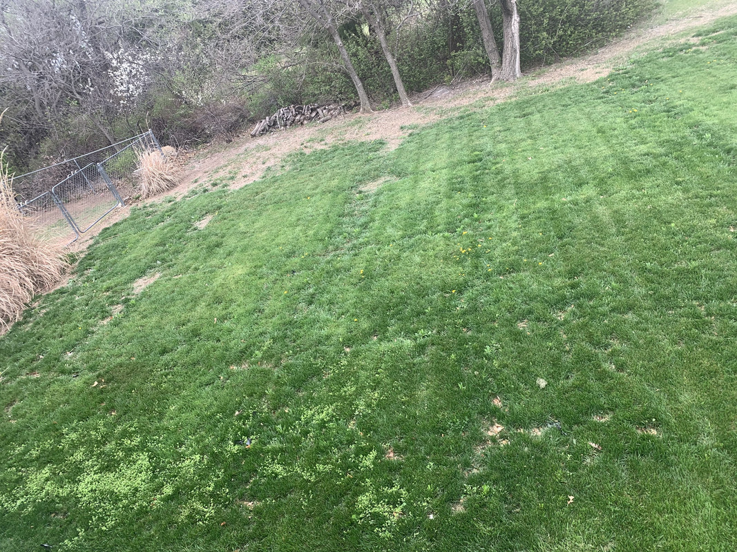 9152743C-4137-4D78-A2C3-E20828693C47