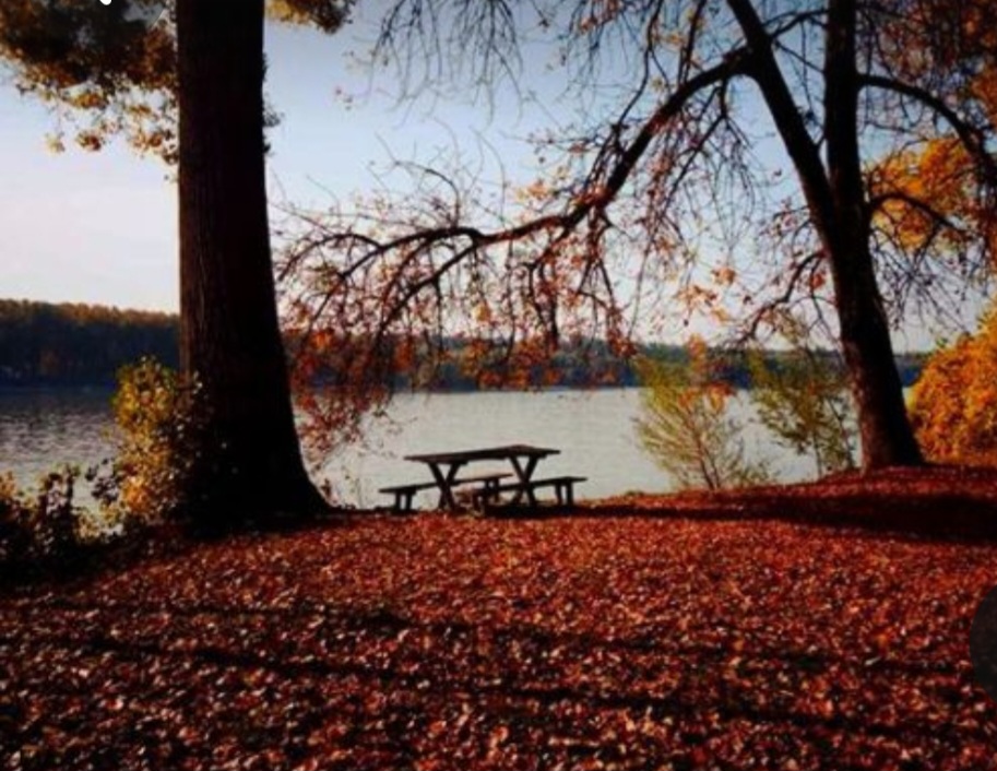 Screenshot_20231119_094805_Pinterest