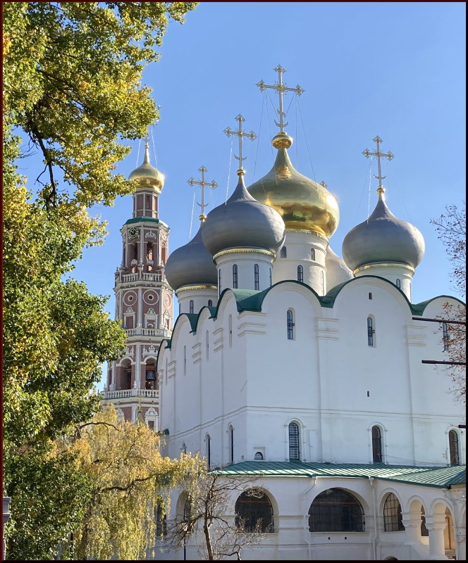 https://i.postimg.cc/vBmp5kxh/25.jpg