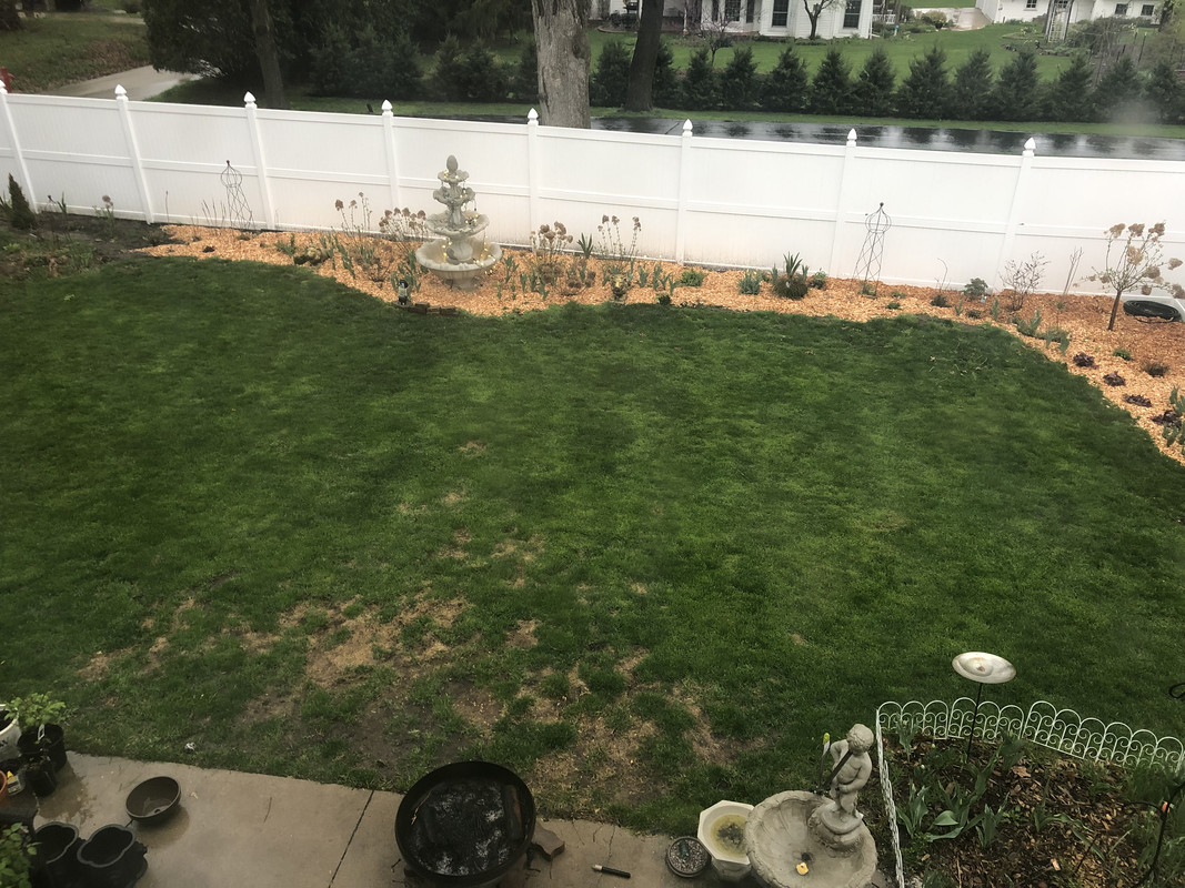 74AA6349-9B4B-4429-BE19-35EF623965FF