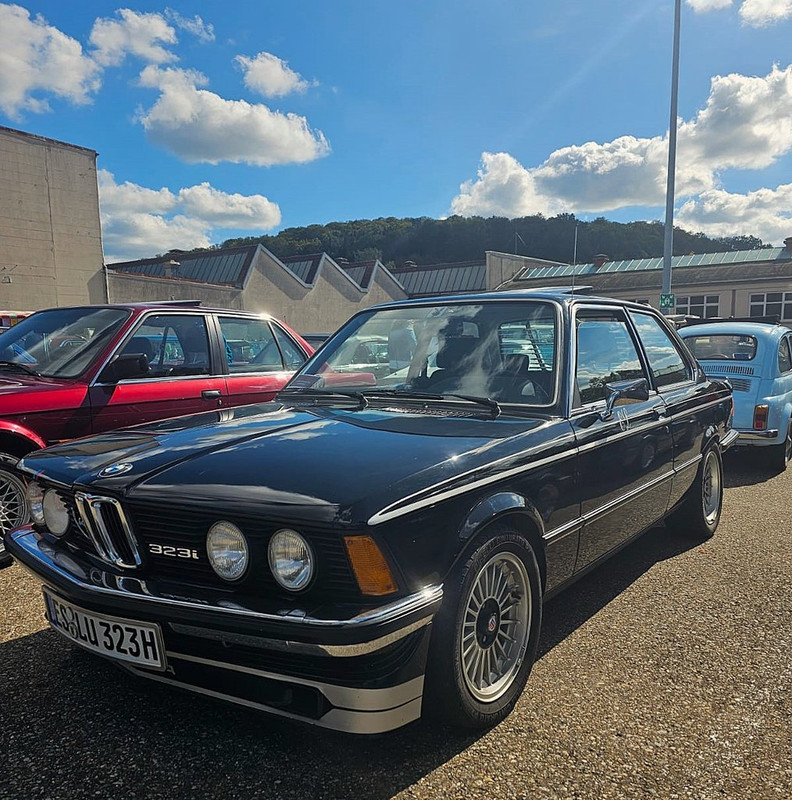 cesta 24 alpina (6)