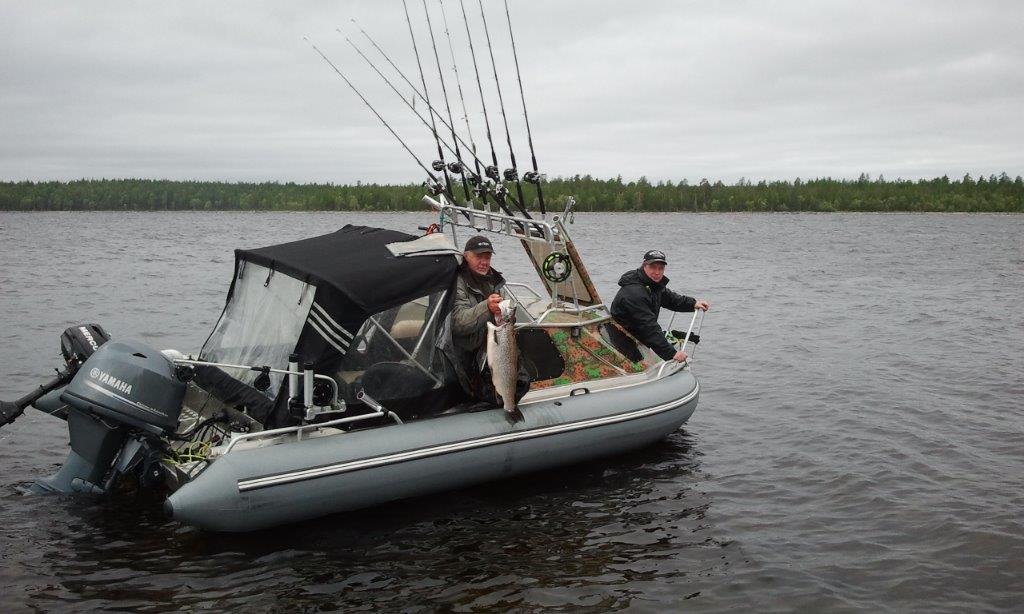 кума 7кг. лето 2014