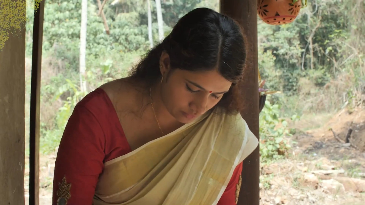 Curvy Beautiful Malyali Lady Sexy Big Boobs and Tummy in Kerala Saree.mkv_snapshot_00.08.134