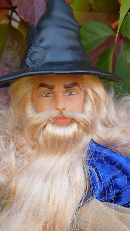 Осенне дачное-Мерлинское 026