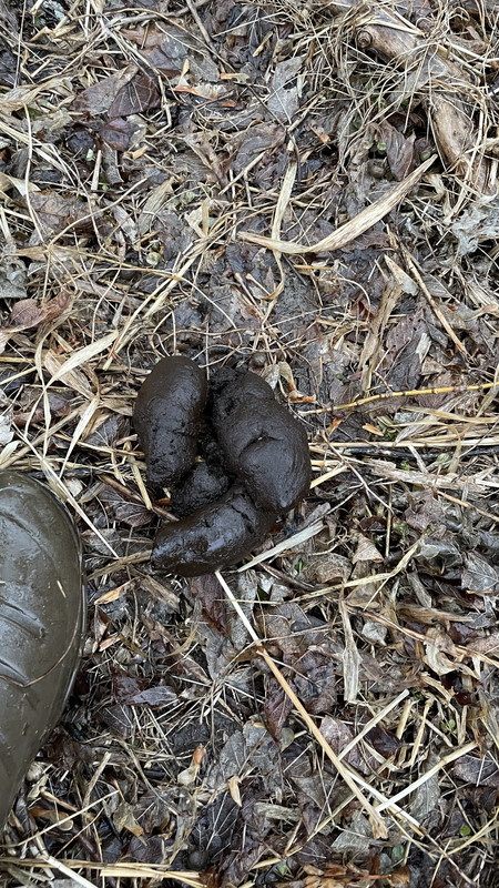 9FE3CFF6-5F5E-41B3-97AD-8D9C3C7EC7DD