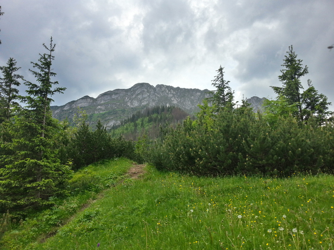 02.13 - 20180531_124631_HDR (VdL)