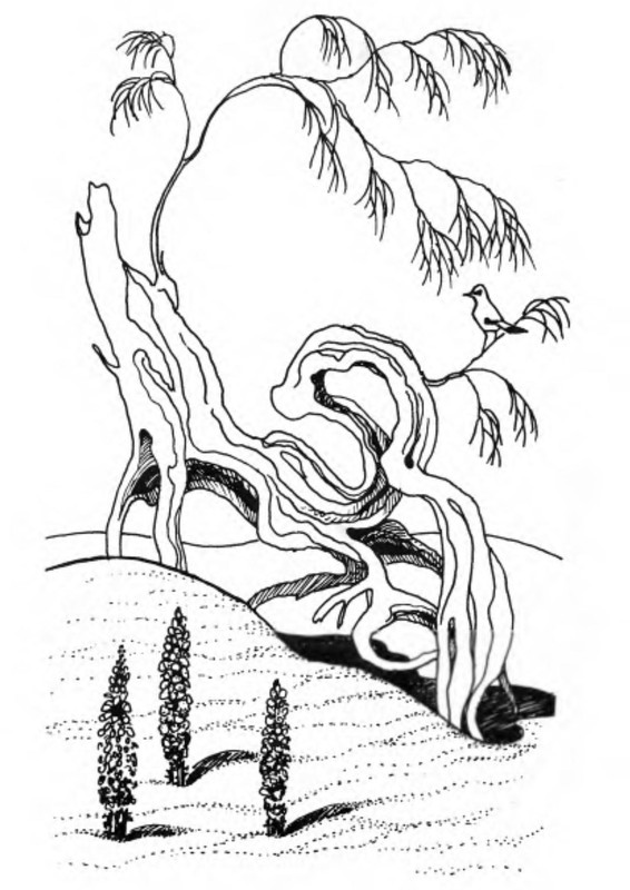 p0006