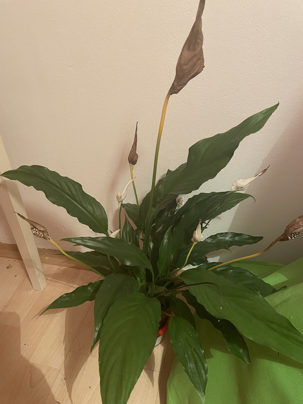 7C97A8E4-468A-4669-9E96-418C575E68BB