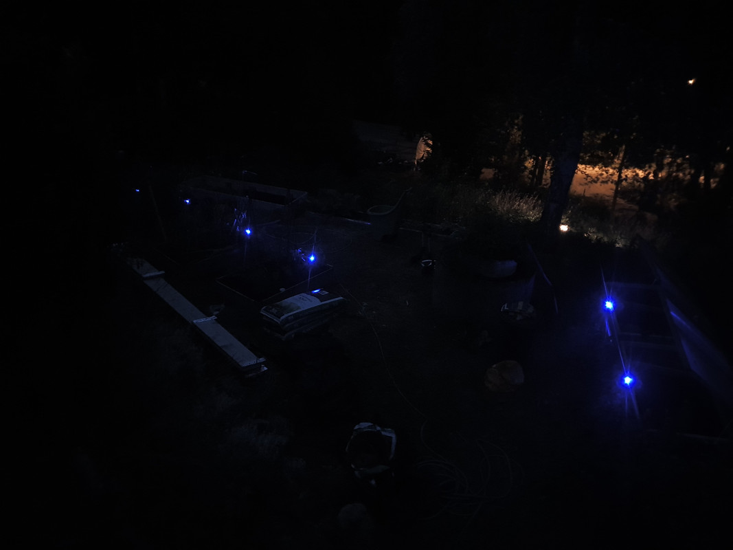 20210719-231337.jpg
