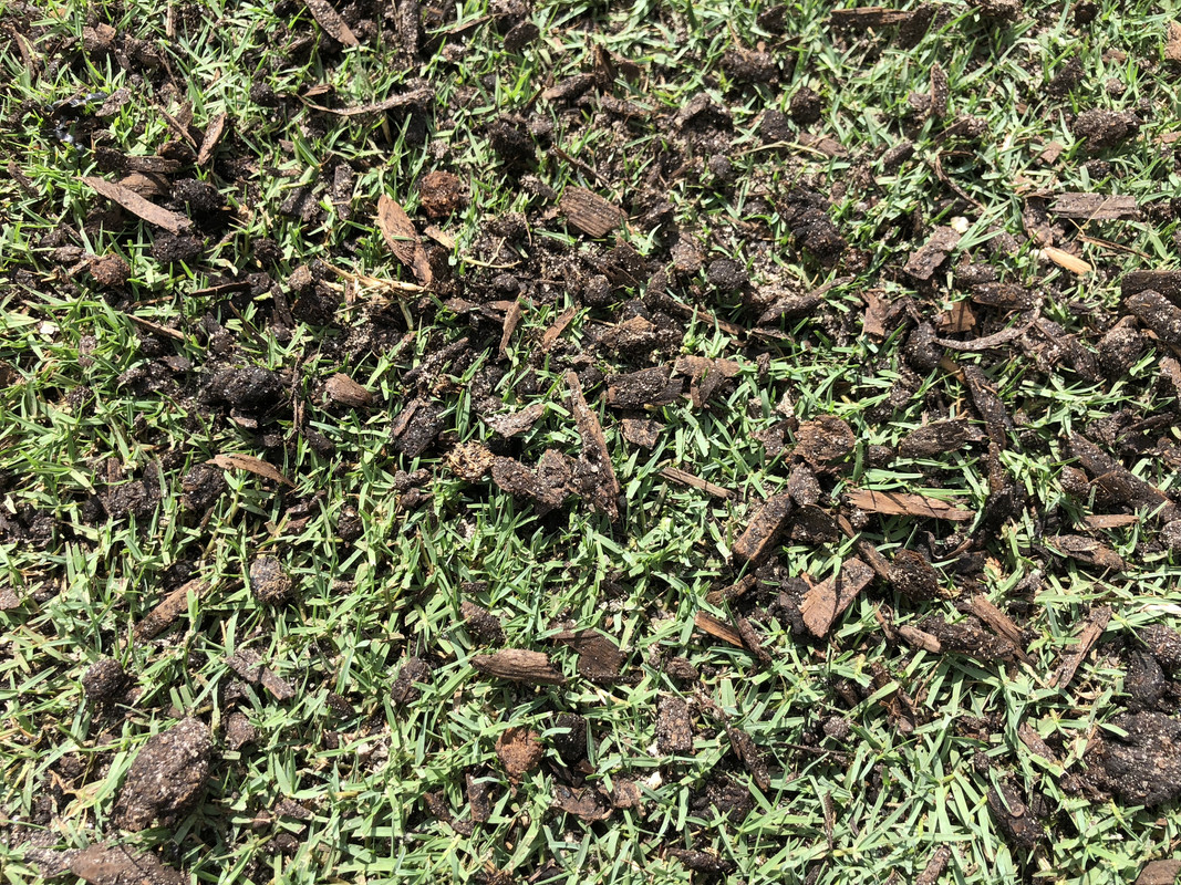 Leveling Bermuda Lawn Composted Manure Versus Sand Fill The