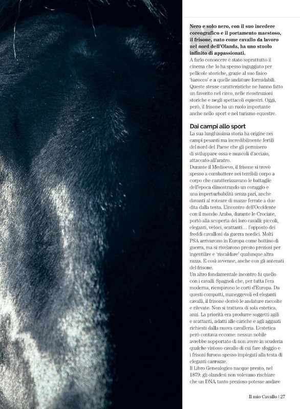 Il Mio Cav (Mag 2022) 4