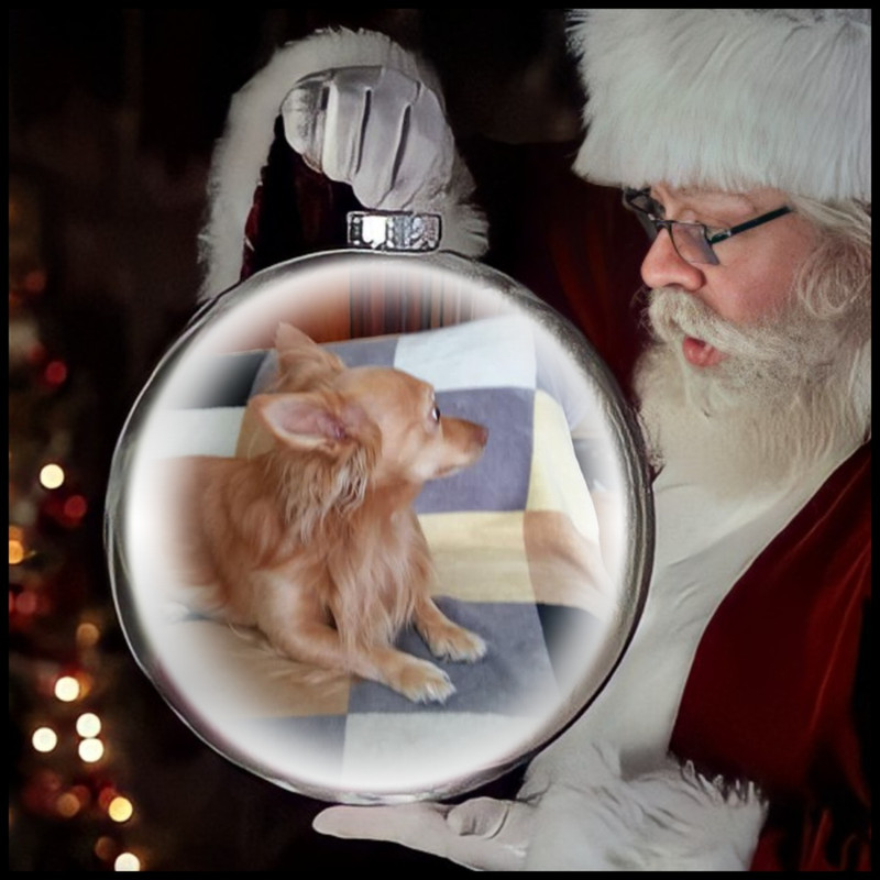 Image and video hosting by TinyPic