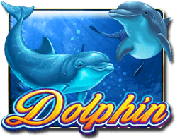 DOLPHIN REEF