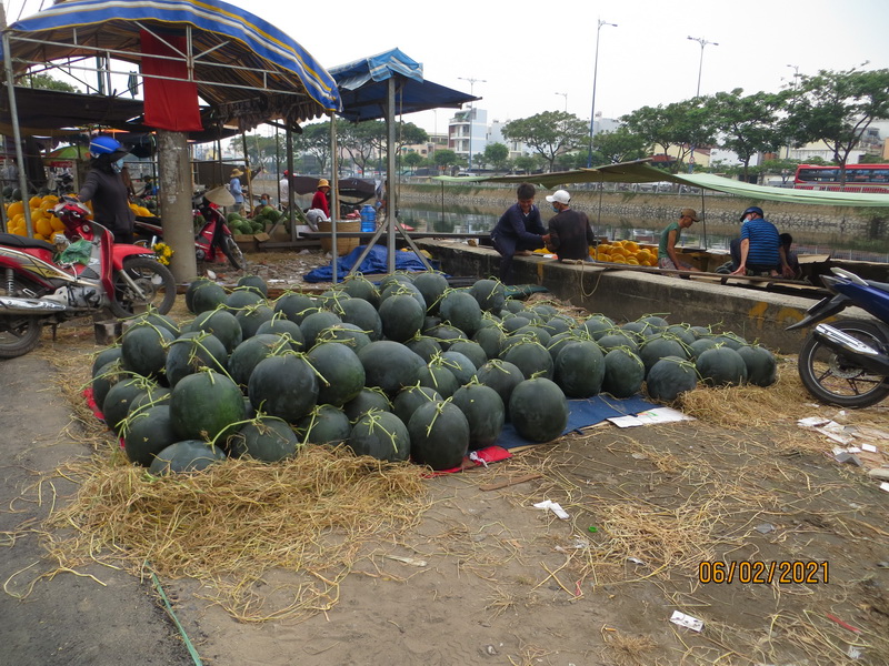 [Image: IMG-7637.jpg]
