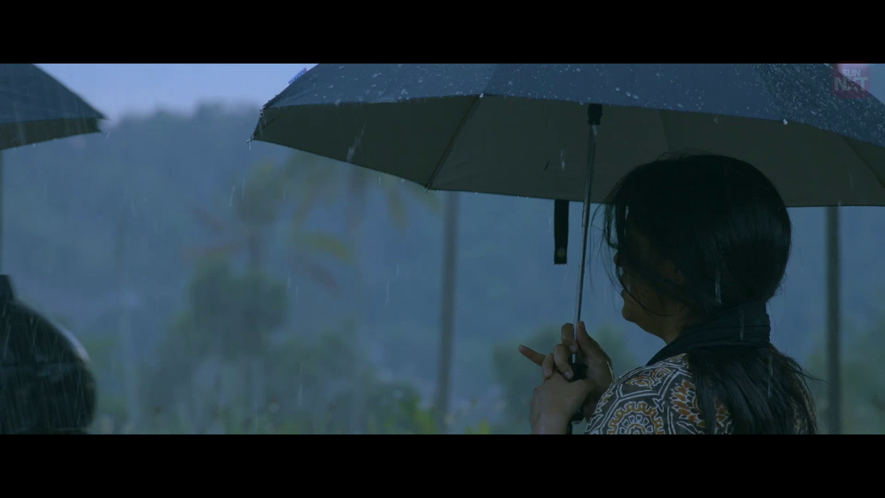 vlcsnap 2026 02 11 15h48m39s604